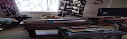 Siamese cats for sale: Kittens in Bridgend - Advert 4