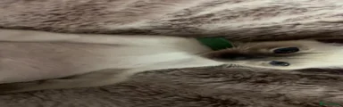 Green Collar Siamese 4