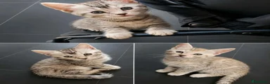 Bengal 2