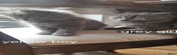 British Longhair cats for sale: Gorgeous British Blue longhair kittens - Advert 25