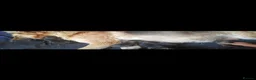 German Shepherd dogs for sale: German shepherd puppies  - Advert 1