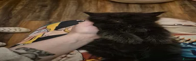 Mixed Breed 2