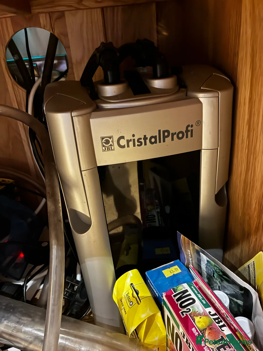 Other/Mixed Breed fish for sale: Tropical Fish and large cube fish tank - Advert 9