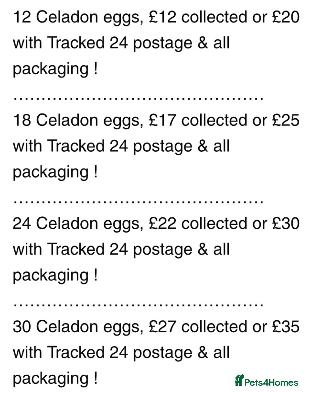 Quail poultry for sale: QUAIL HATCHING EGGS/1ST SEPTEMBER ! - Image 13