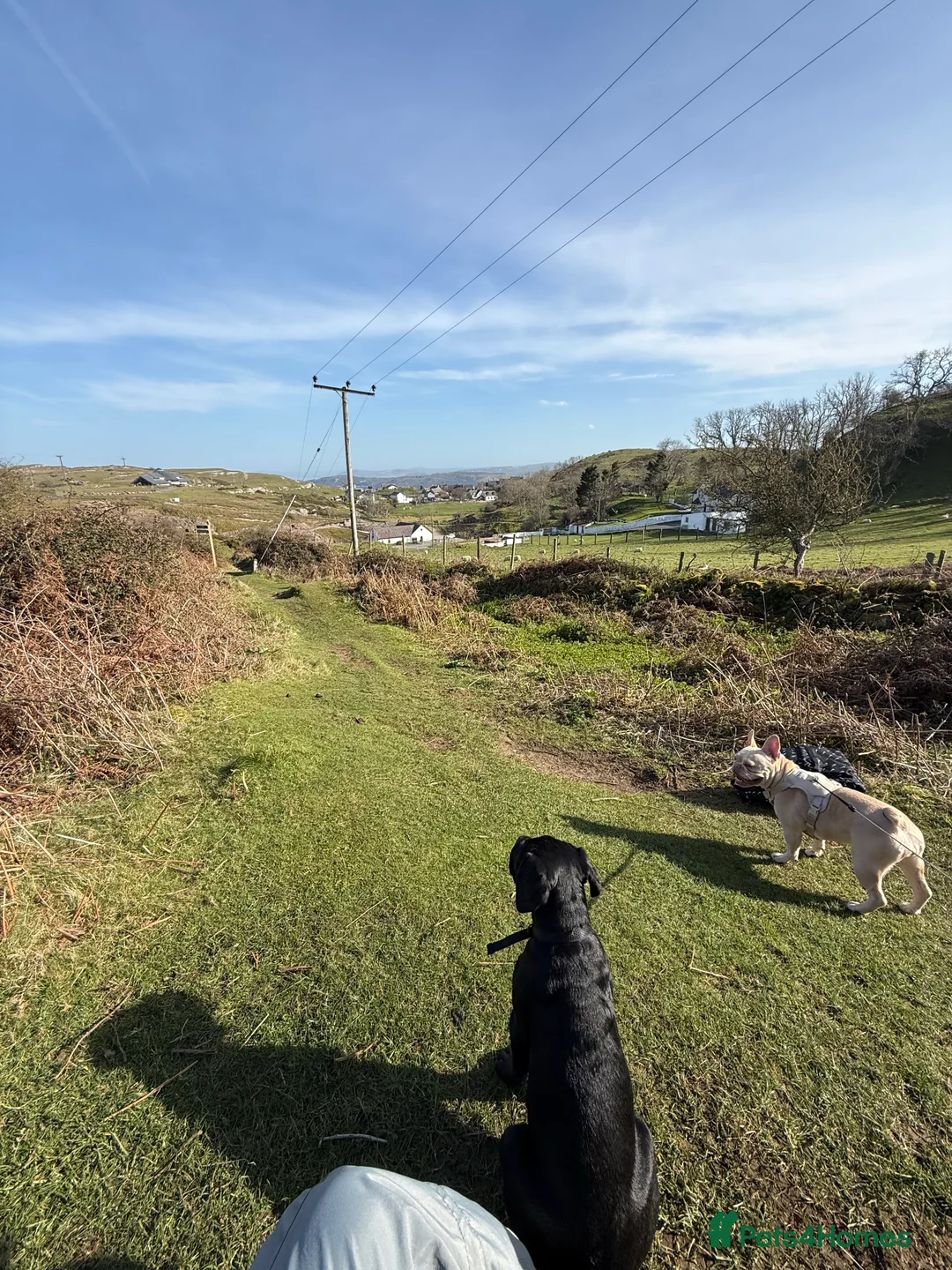 Gallery Image {{count}}