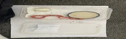 Corn Snake reptiles for sale: Corn Snakes - Advert 13