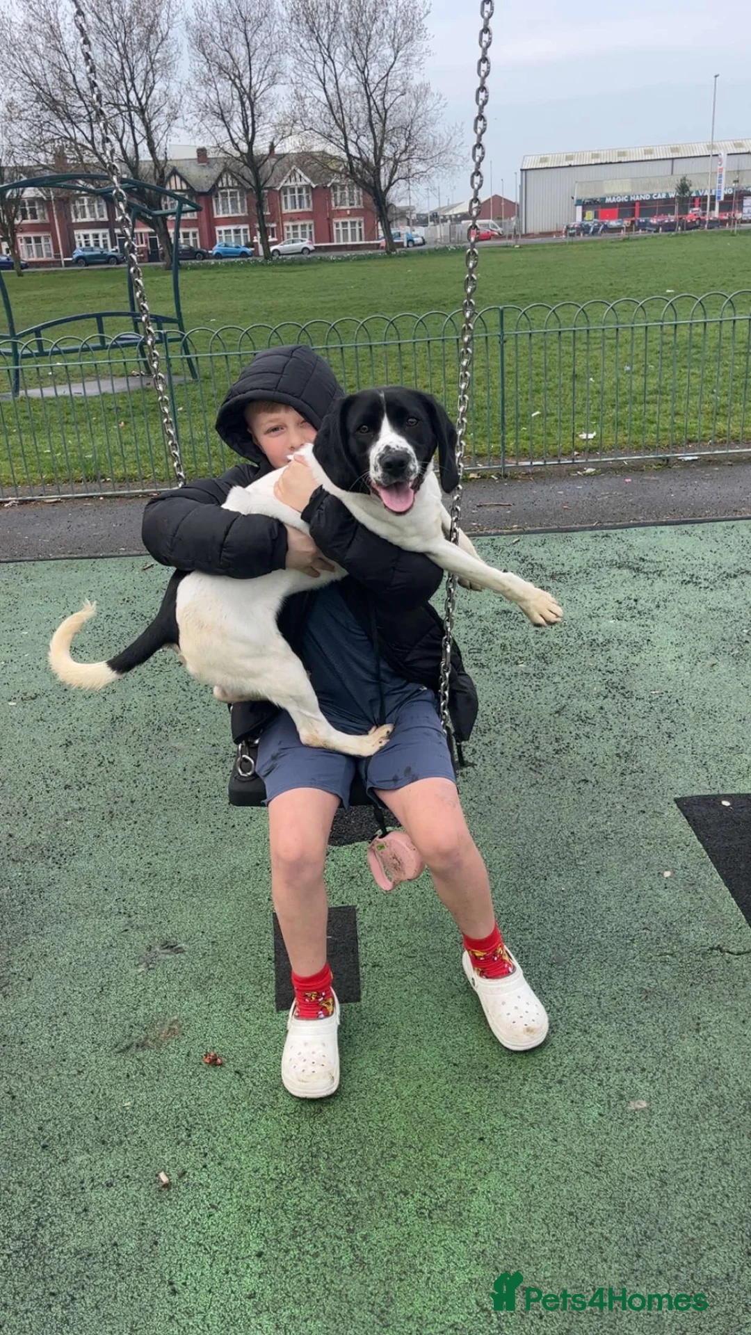 Mixed Breed dogs for sale: Narla - Advert 1