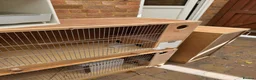 Budgerigars birds for sale: Wooden Budgie Breeding cages - Advert 2