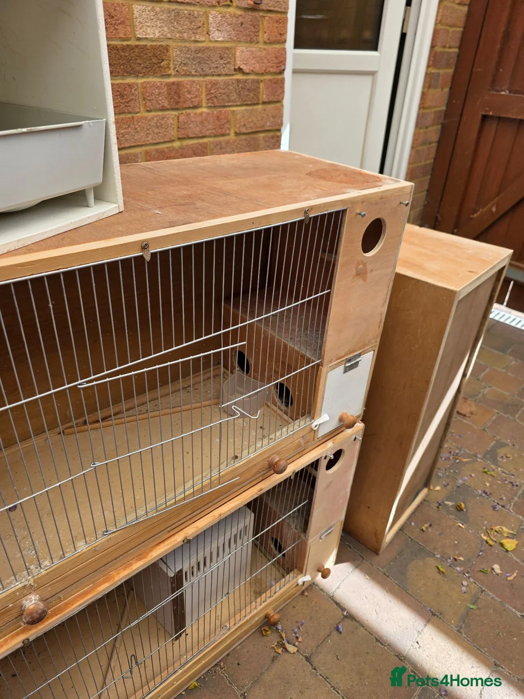 Budgerigars birds for sale: Wooden Budgie Breeding cages - Advert 2