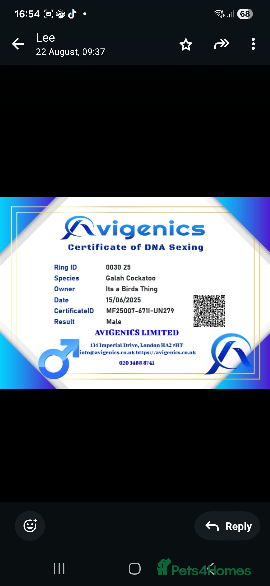 Cockatoo birds for sale: Baby galah and full setup  - Advert 4