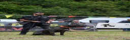 Presa Canario dogs for sale: Presa Canario puppies .  - Advert 4