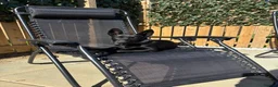 Belgian Shepherd Dog dogs for sale: Black Belgian mal 13 weeks  - Advert 2