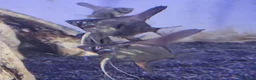 Angelfish fish for sale: Home Bred Blue Smokey / Pinoy Angelfish 2.5cm  - Advert 12