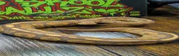 Python Snake reptiles for sale: Cinnamon ultramel  - Advert 2
