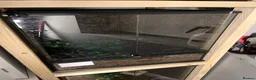 Gecko reptiles for sale: 3x crested geckos and terrariums in Hayling Island - Advert 4