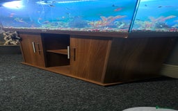 Other/Mixed Breed fish for sale: Tropical mix fish with aquarium  - Advert 3