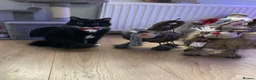 Mixed Breed cats for sale: Cute baby kittens in Falkirk - Advert 1