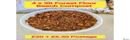 Millipedes invertebrates for sale: Pick & Mix see Photos  - Advert 4