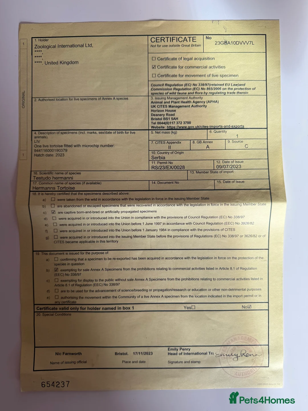 Tortoise reptiles for sale: Hermanns Tortoise and Full Set Up For Sale - Advert 5