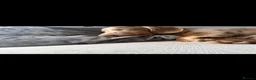 Dachshund dogs for sale: Lilac Tan long haired beautiful boy Dachshund  - Advert 13