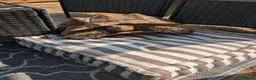 Tortoise reptiles for sale: 2 sulcata tortoises - Advert 5