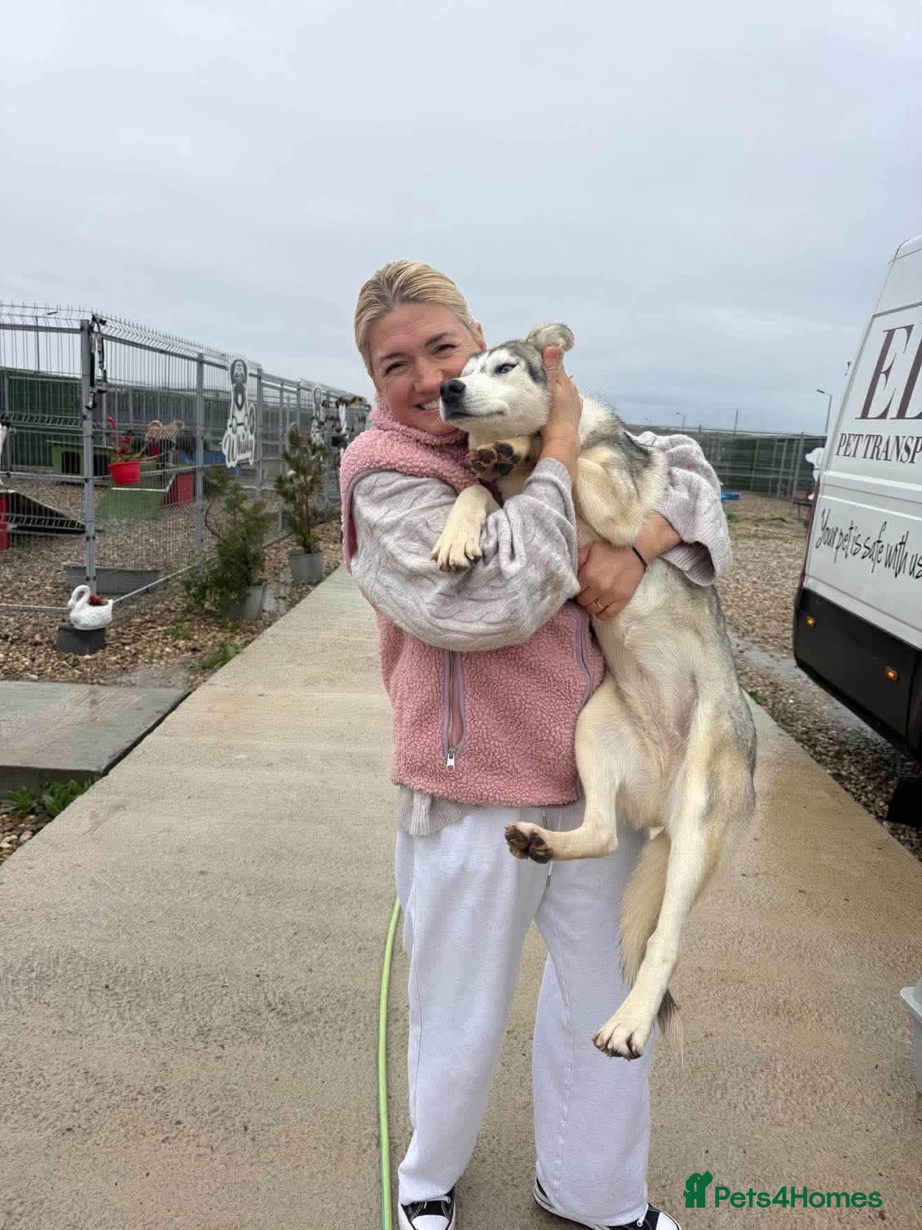 Mixed Breed dogs for adoption: Aisha - Norwich Norfolk  - Advert 1
