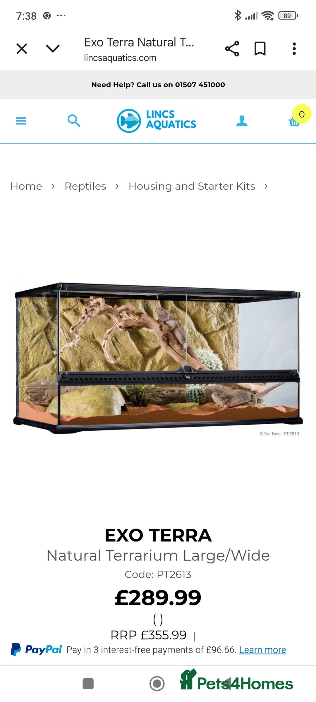 Turtle reptiles for sale: 2xRazor backed turtle male and female - Image 10