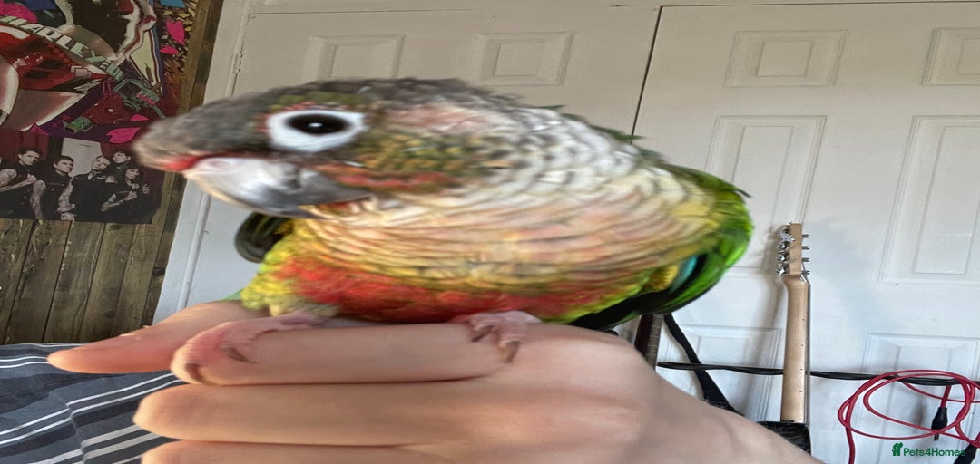 Gallery Image {{count}}