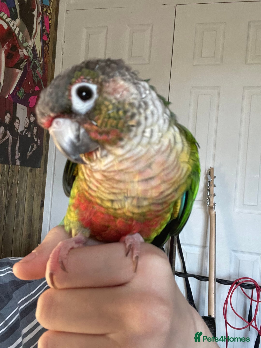 Gallery Image {{count}}