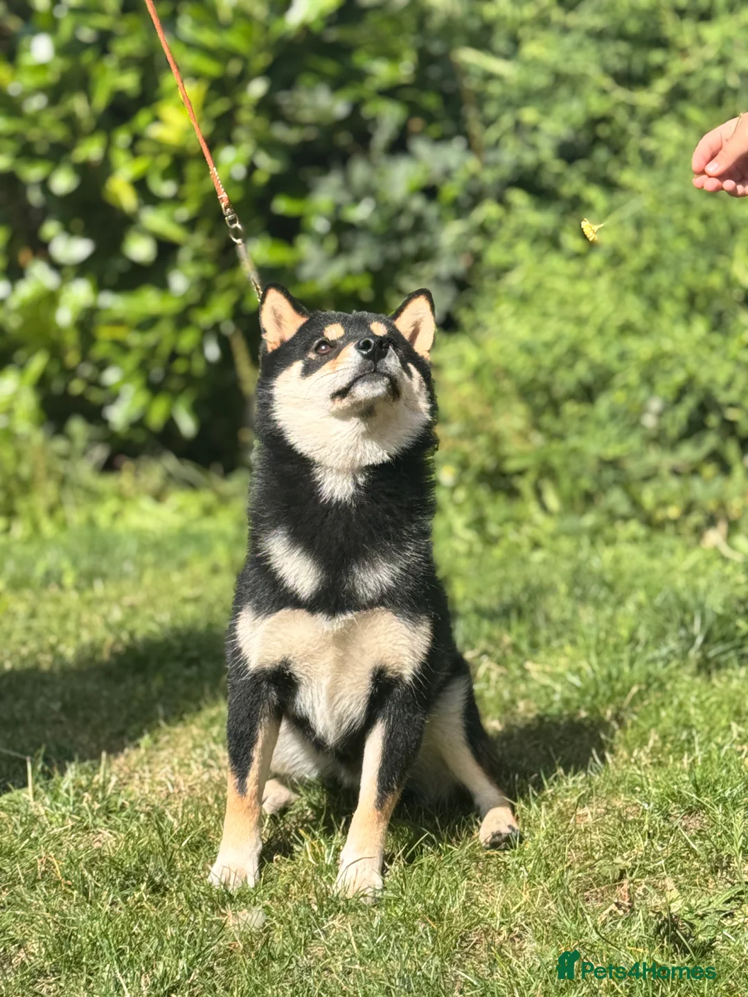 Gallery Image {{count}}