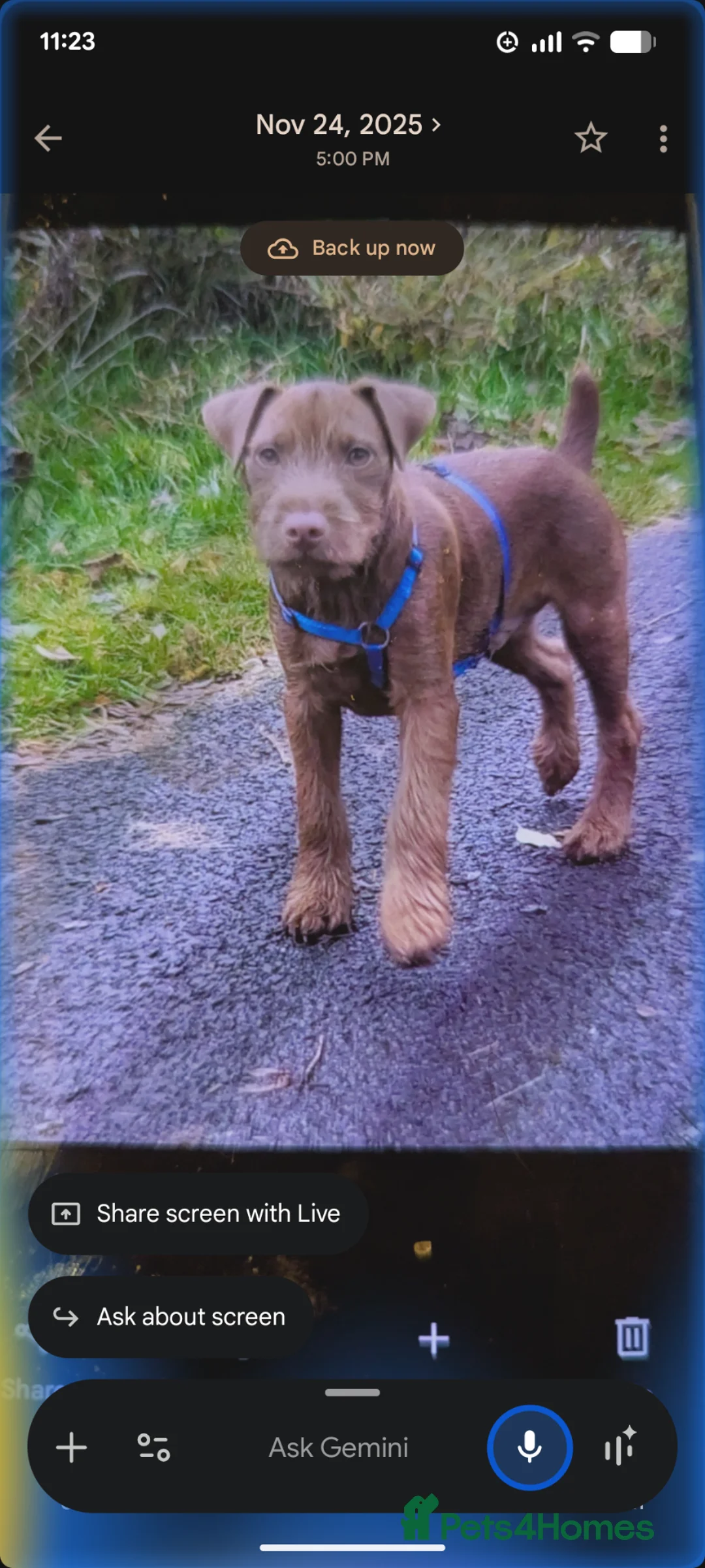 Gallery Image {{count}}