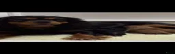 Cavapoo dogs for sale: Hybrid F1 toy Cavapoo puppies - Advert 2