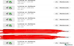 Mixed Breed cats for sale: British Short hair mixed breeds  - Advert 11