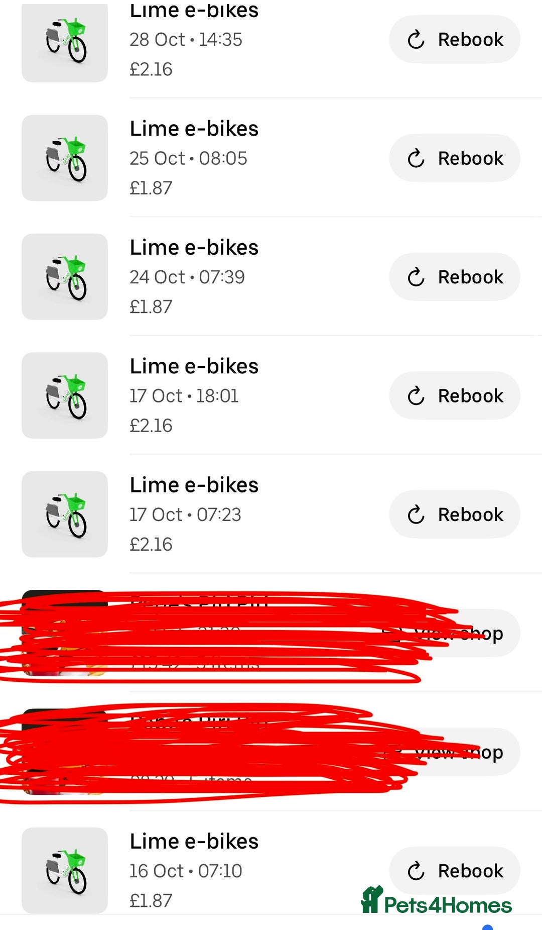 Mixed Breed cats for sale: British Short hair mixed breeds  - Advert 11