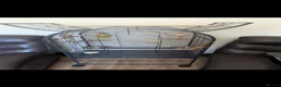 Conures birds for sale: Green cheek conure  in Arbroath - Advert 3