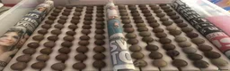 Quail poultry for sale: CHINESE PAINTED BUTTON QUAILS EGGS ! - Advert 22