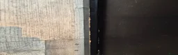 Goldfish fish for sale: Large fishtank for sale - Advert 8