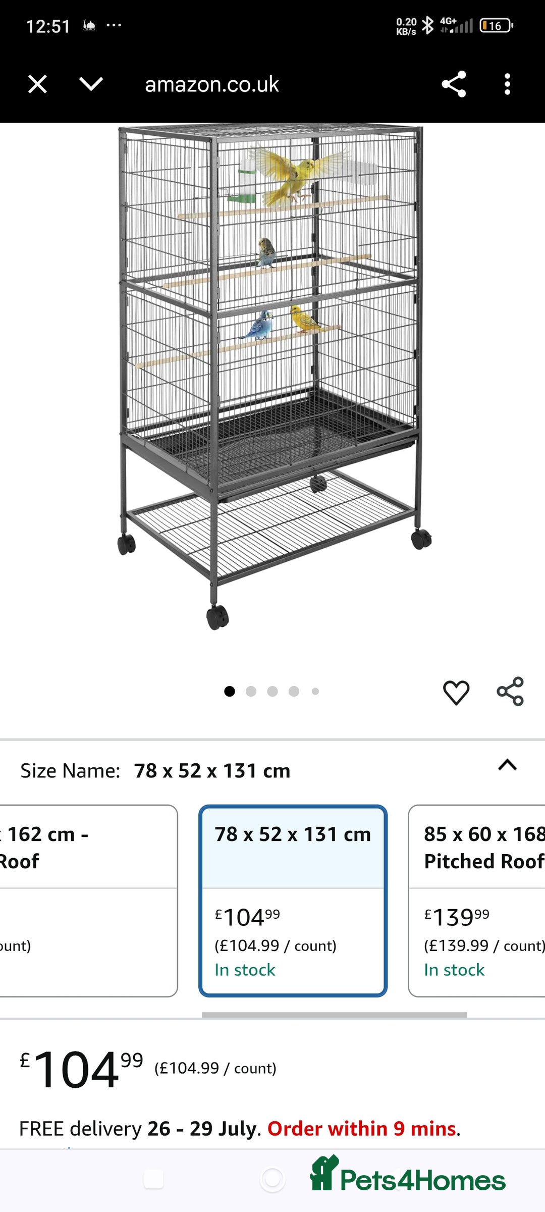 Budgerigars birds for sale: Budgies for sale  - Image 11