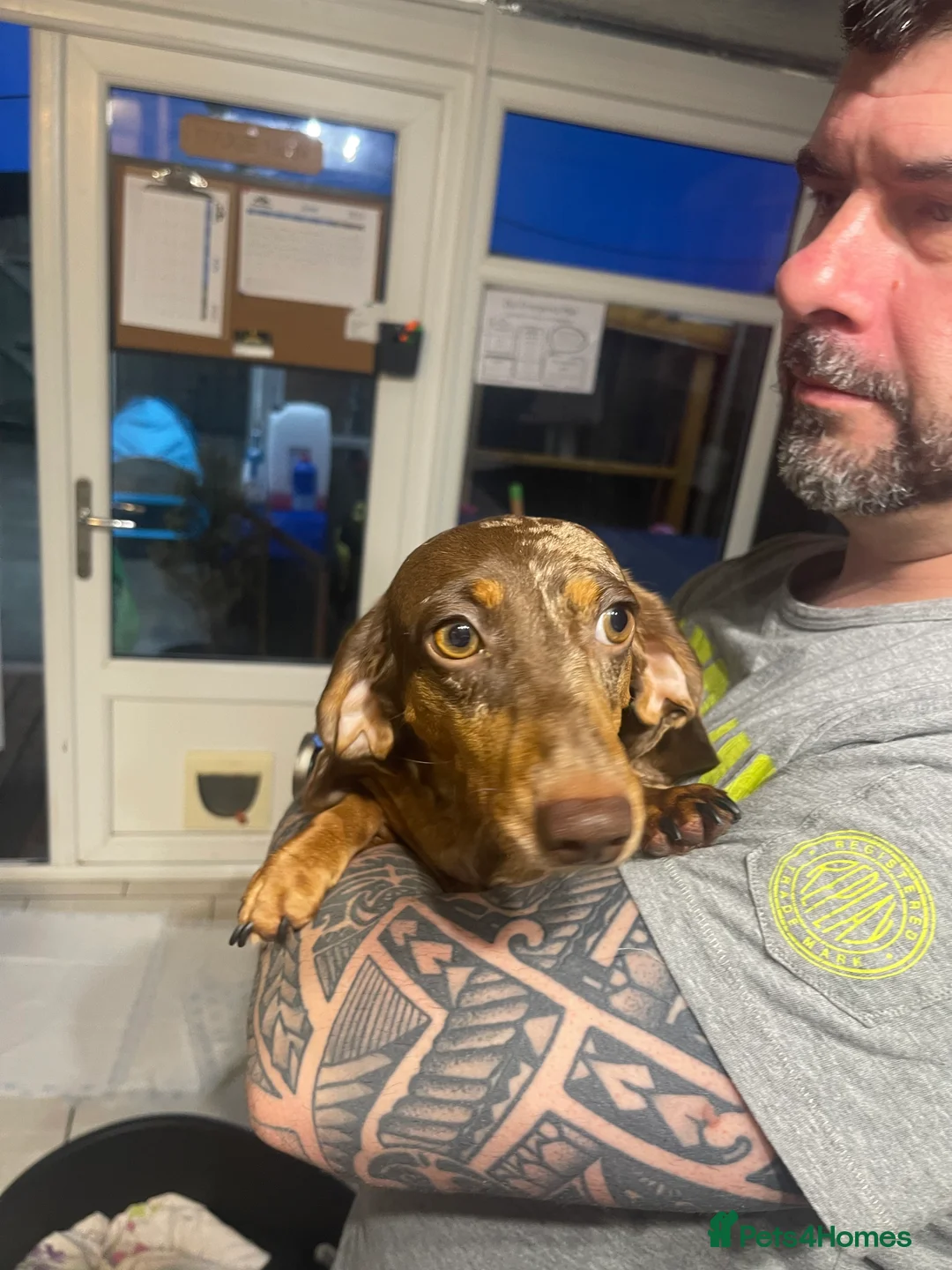 Gallery Image {{count}}