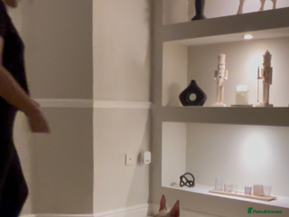 Mixed Breed dogs Mixed breed - Advert 18