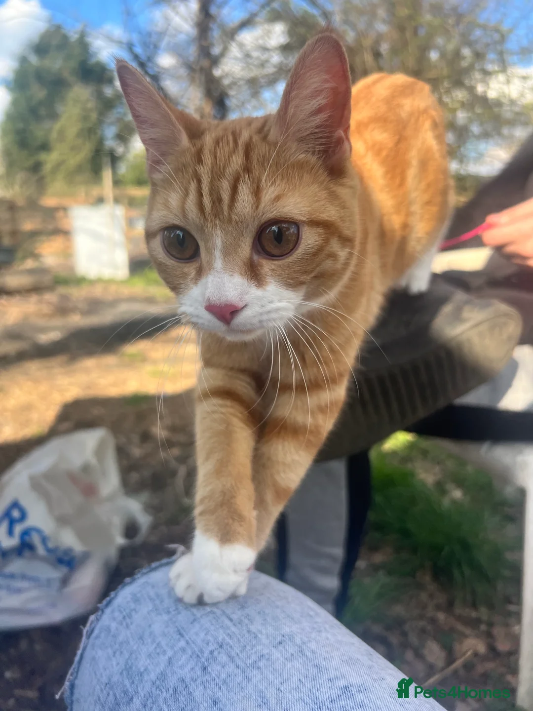 Gallery Image {{count}}