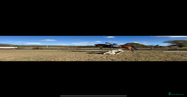 Irish Thoroughbred horses - Advert 4