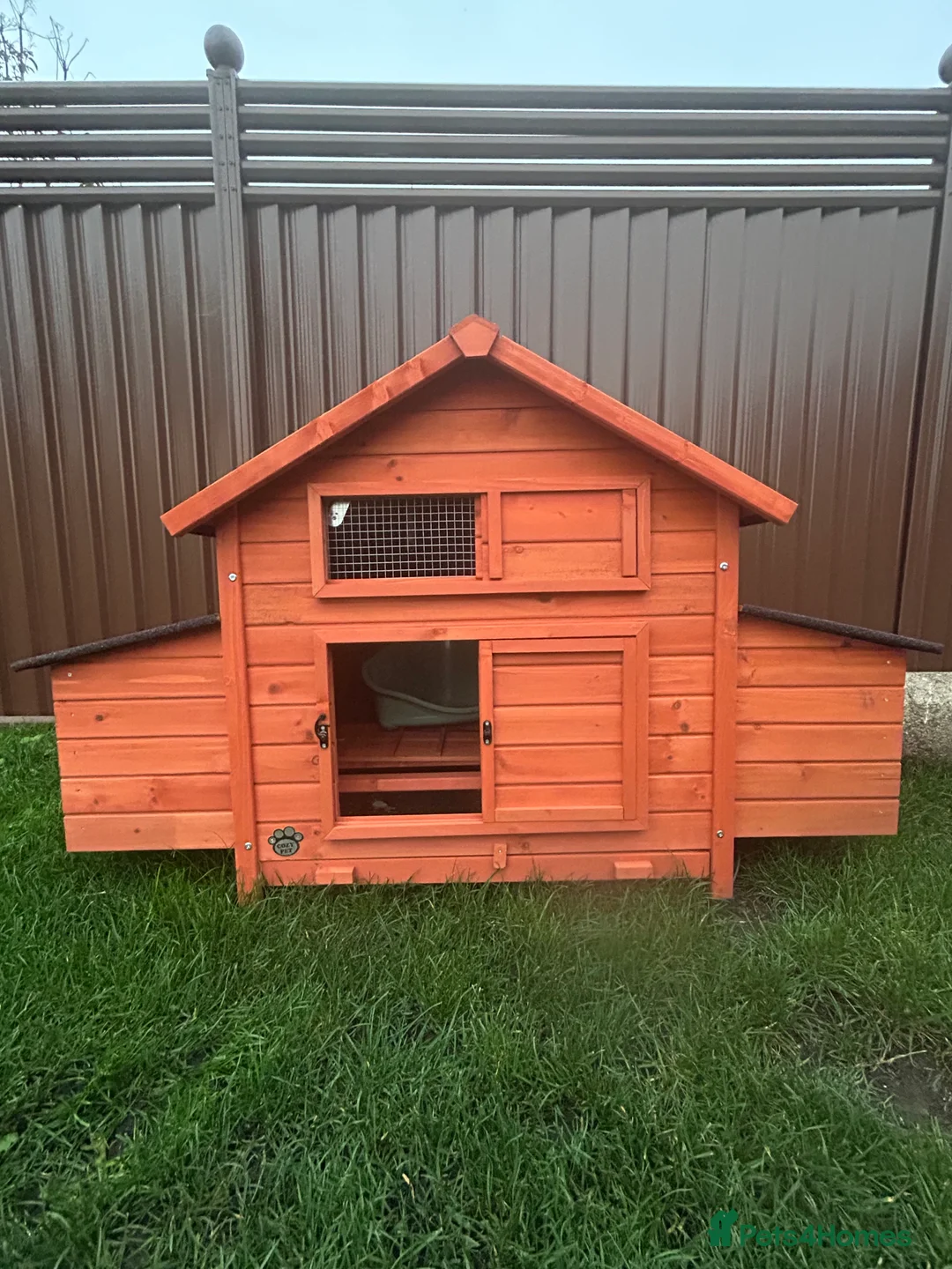 Chickens poultry for sale: Flock of 7 Chickens 🐓 For Sale   - Advert 3