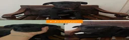 Cane Corso dogs for sale: Cane Corso Puppies - Advert 5