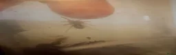 Tarantulas invertebrates for sale: Tarantula Collection Rehome in Preston - Advert 3