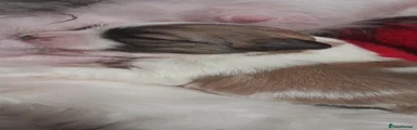 Lhasa Apso 1