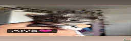 Maine Coon cats for sale: Beautiful Maine Coon kittens - Advert 14