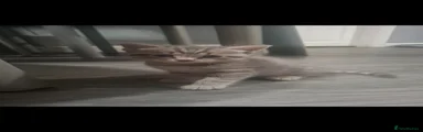 Grey strip girl 