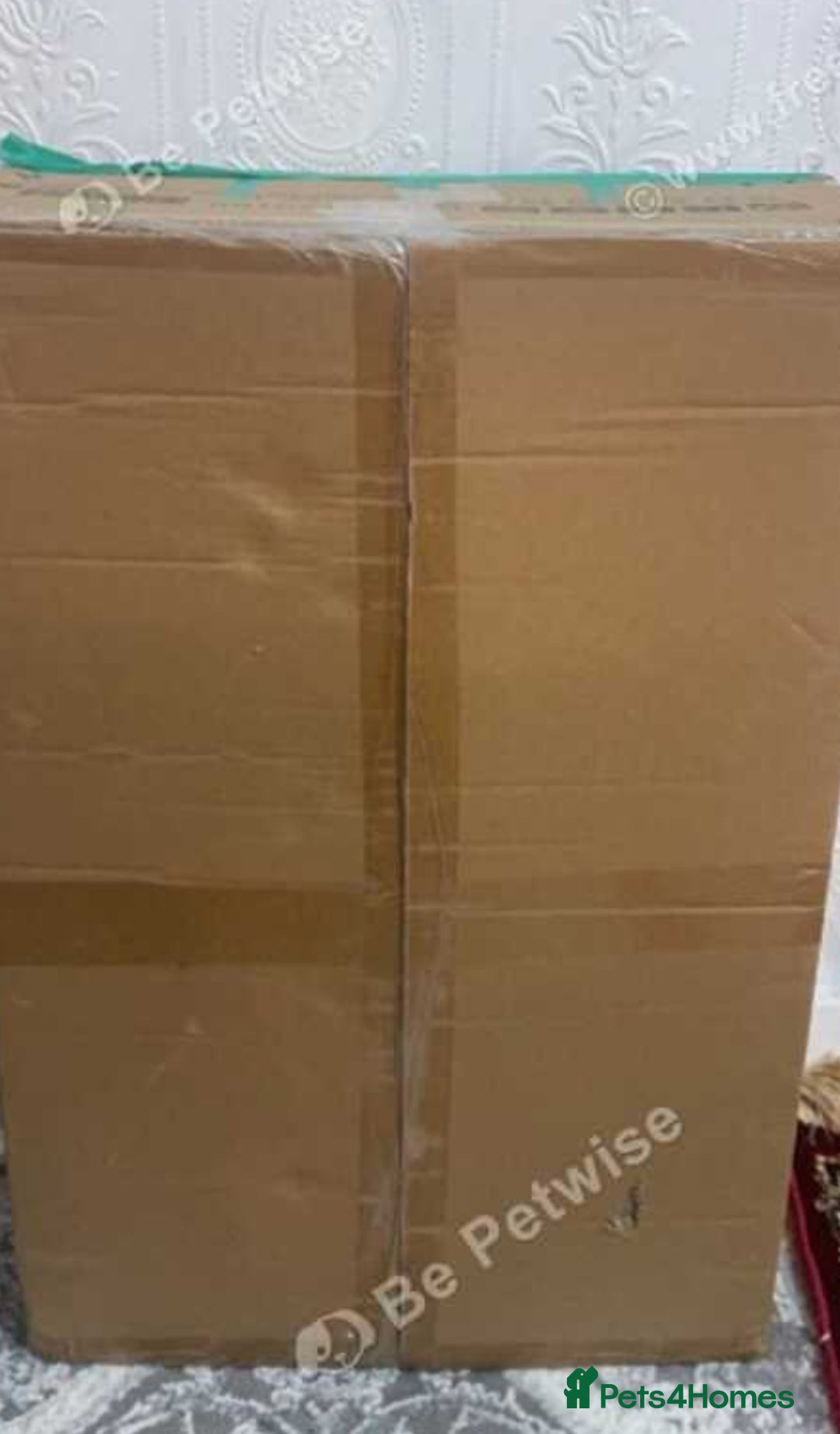 Lovebirds birds for sale: Hamster/guinea pig cage never used  - Image 3