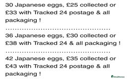Quail poultry for sale: QUAIL HATCHING EGGS/JULY 28TH ! in Warminster - Image 30